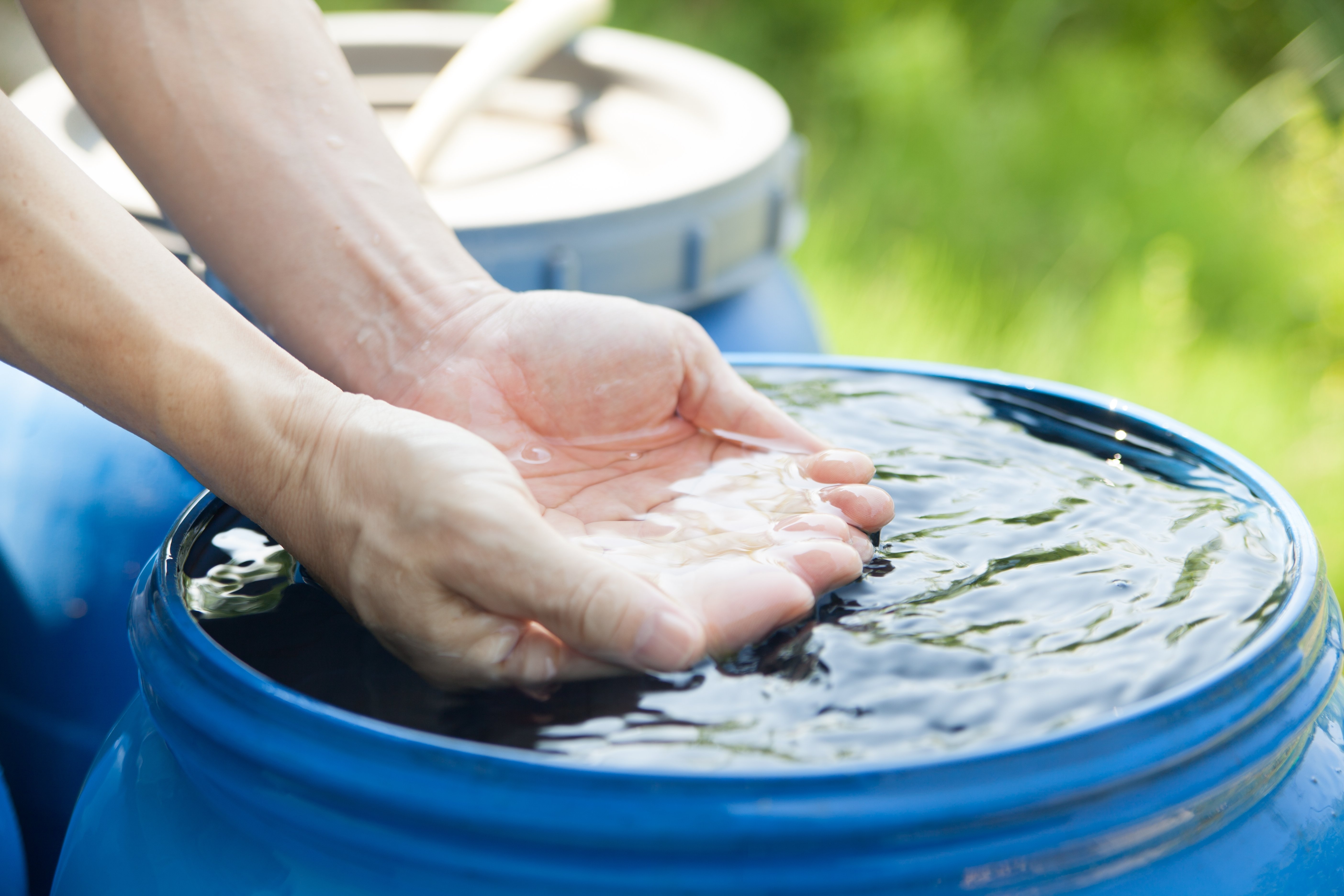 shutterstock_2639130363